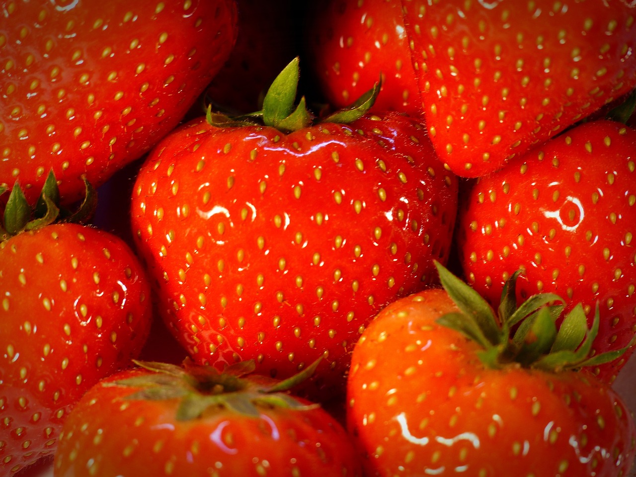 strawberry fruit red free photo