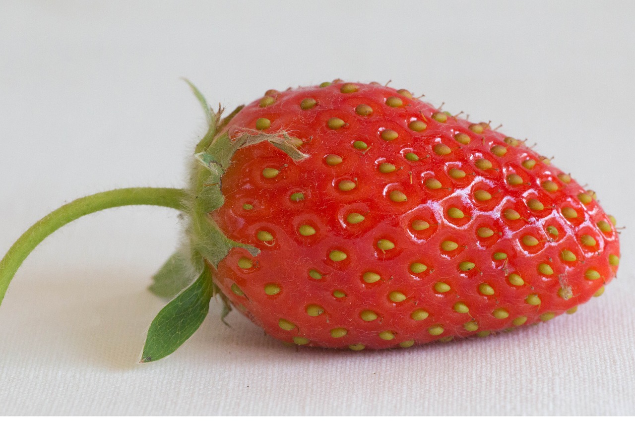 strawberry fruit dessert free photo