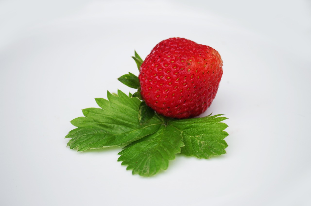 strawberry fruit red free photo