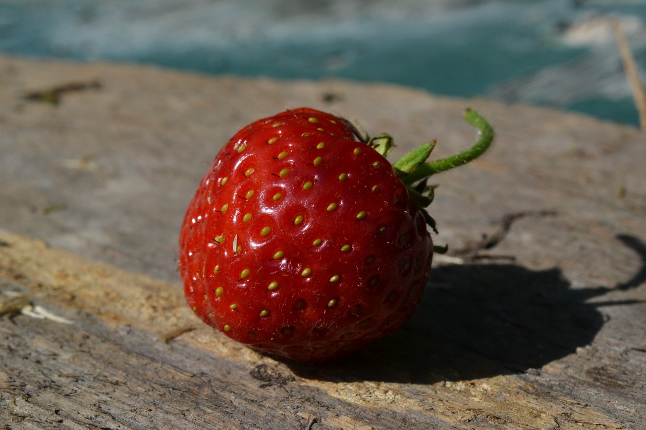 strawberry bio fruit free photo