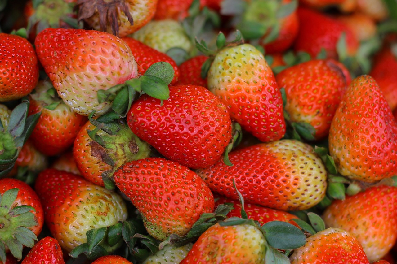 strawberry red fruit gallery free photo