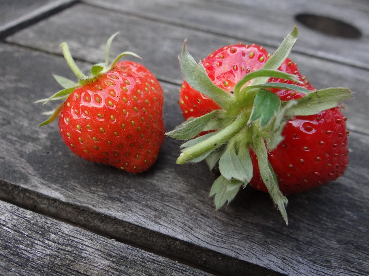 strawberry berry summer free photo