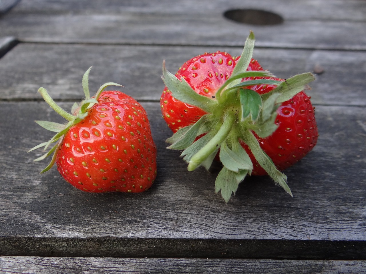 strawberry berry summer free photo