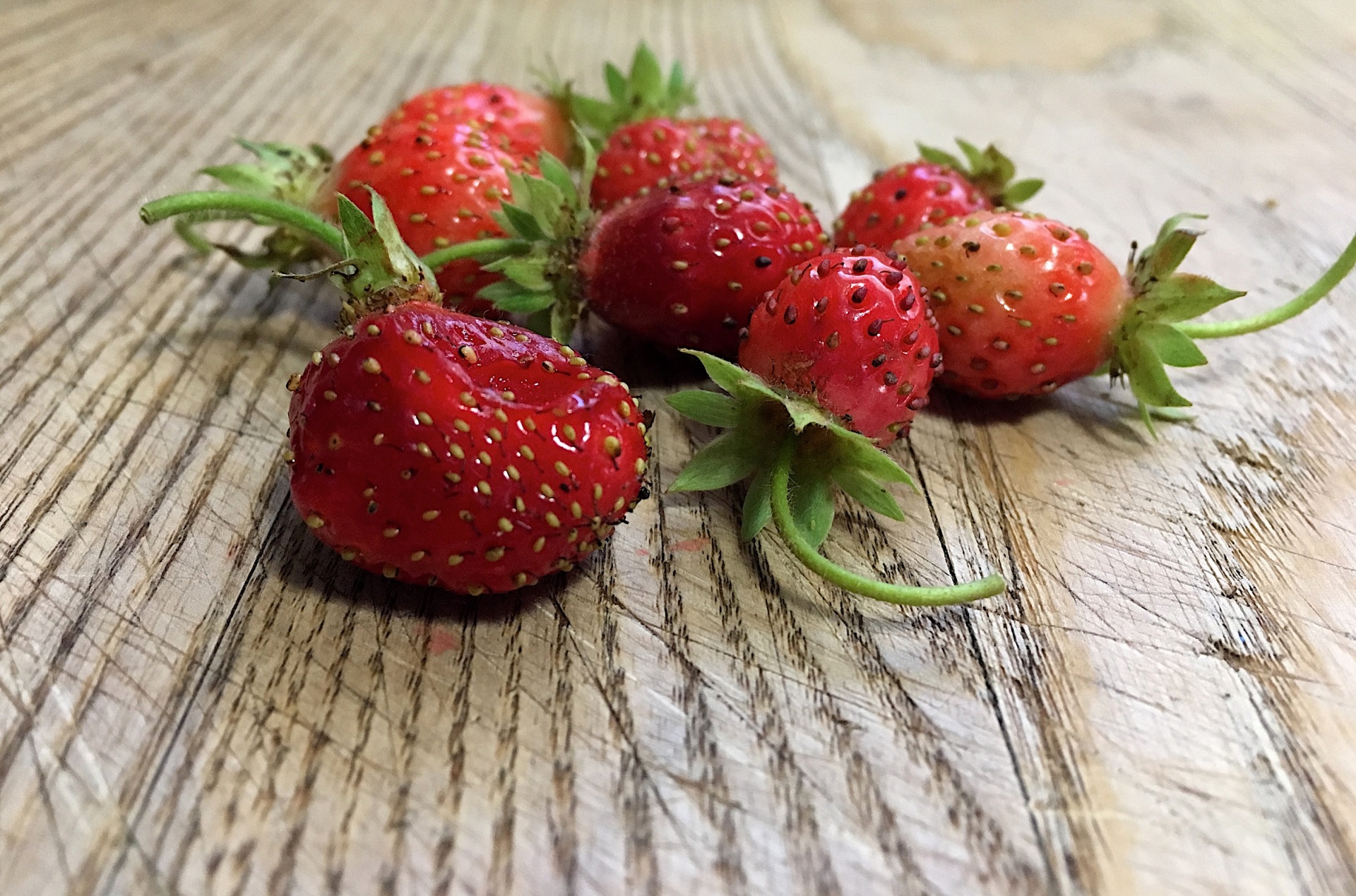 strawberry ripe garden free photo
