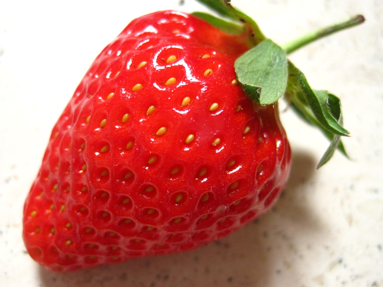 strawberry fragaria slip fruit free photo