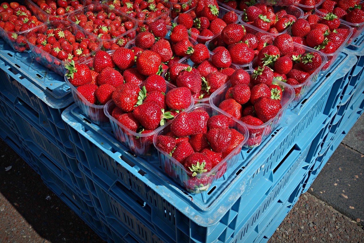 strawberry fruit fresh fruit free photo