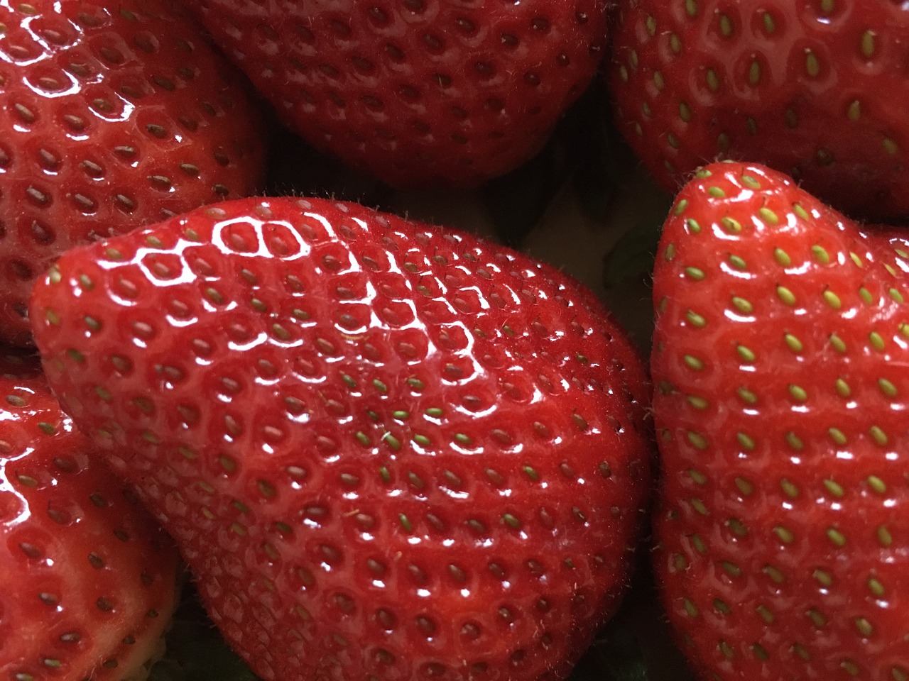 strawberry fruit red free photo