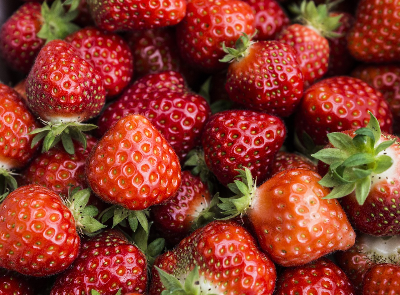 strawberry strawberries red free photo