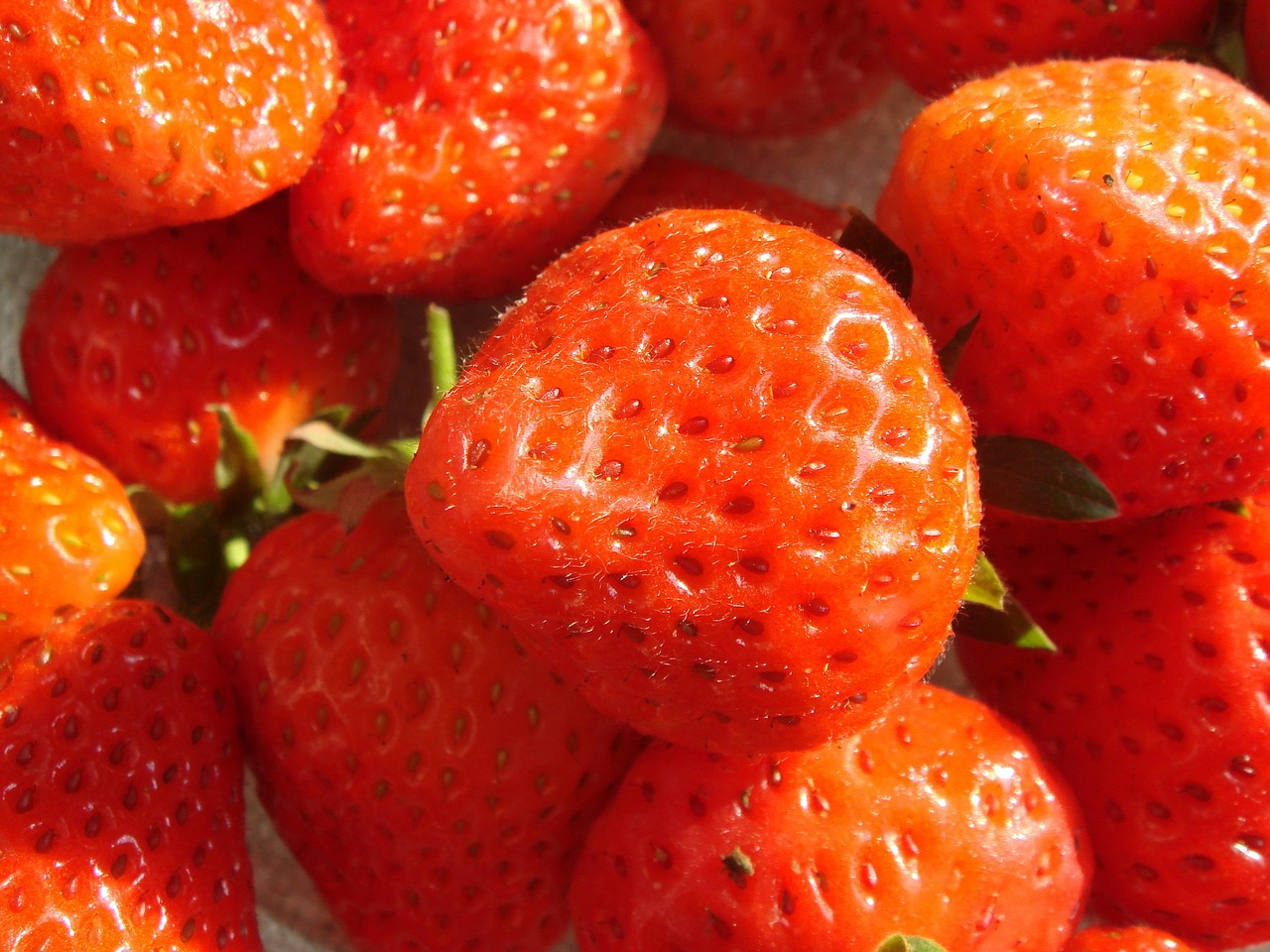 strawberry fruits red free photo