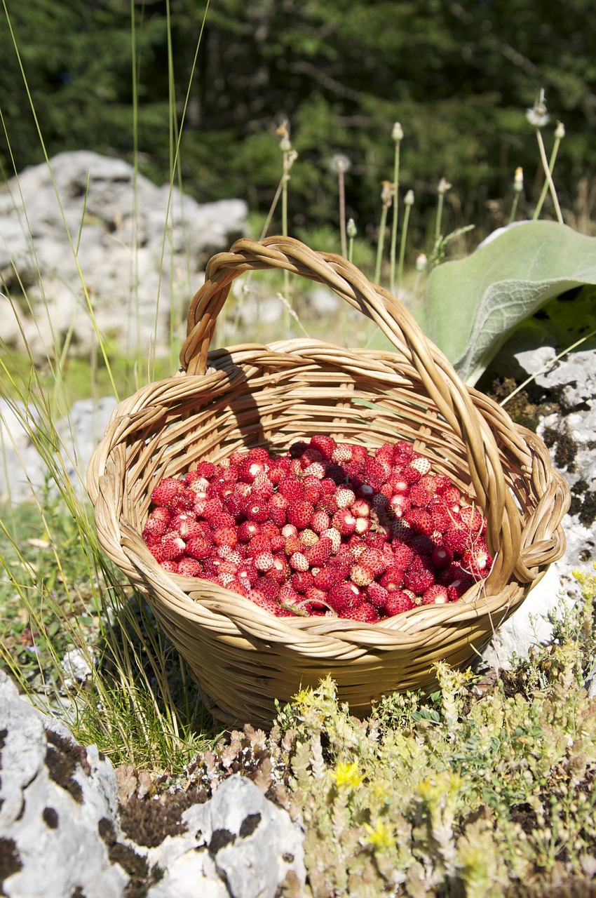 strawberry basket summer free photo