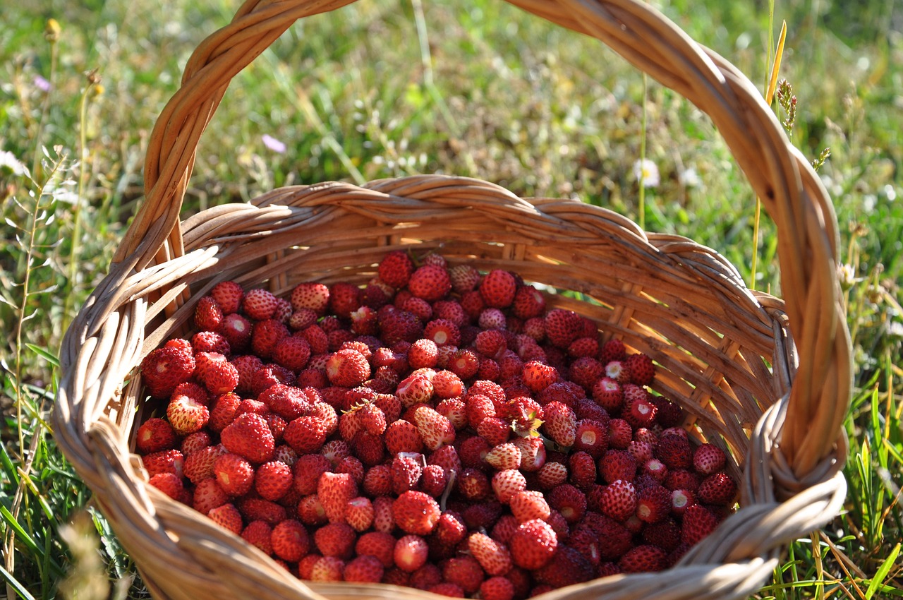 strawberry basket summer free photo