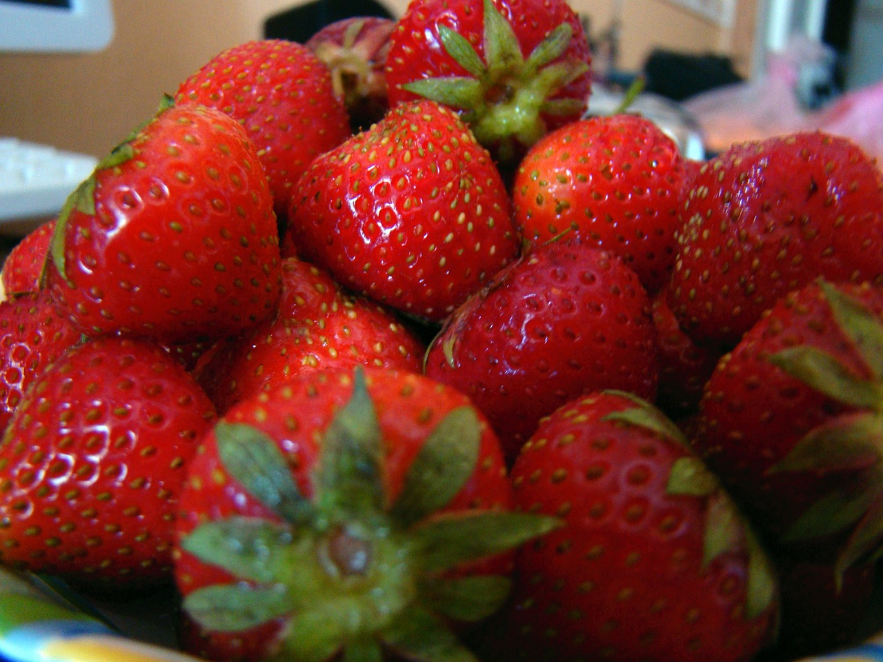 strawberry berry red free photo