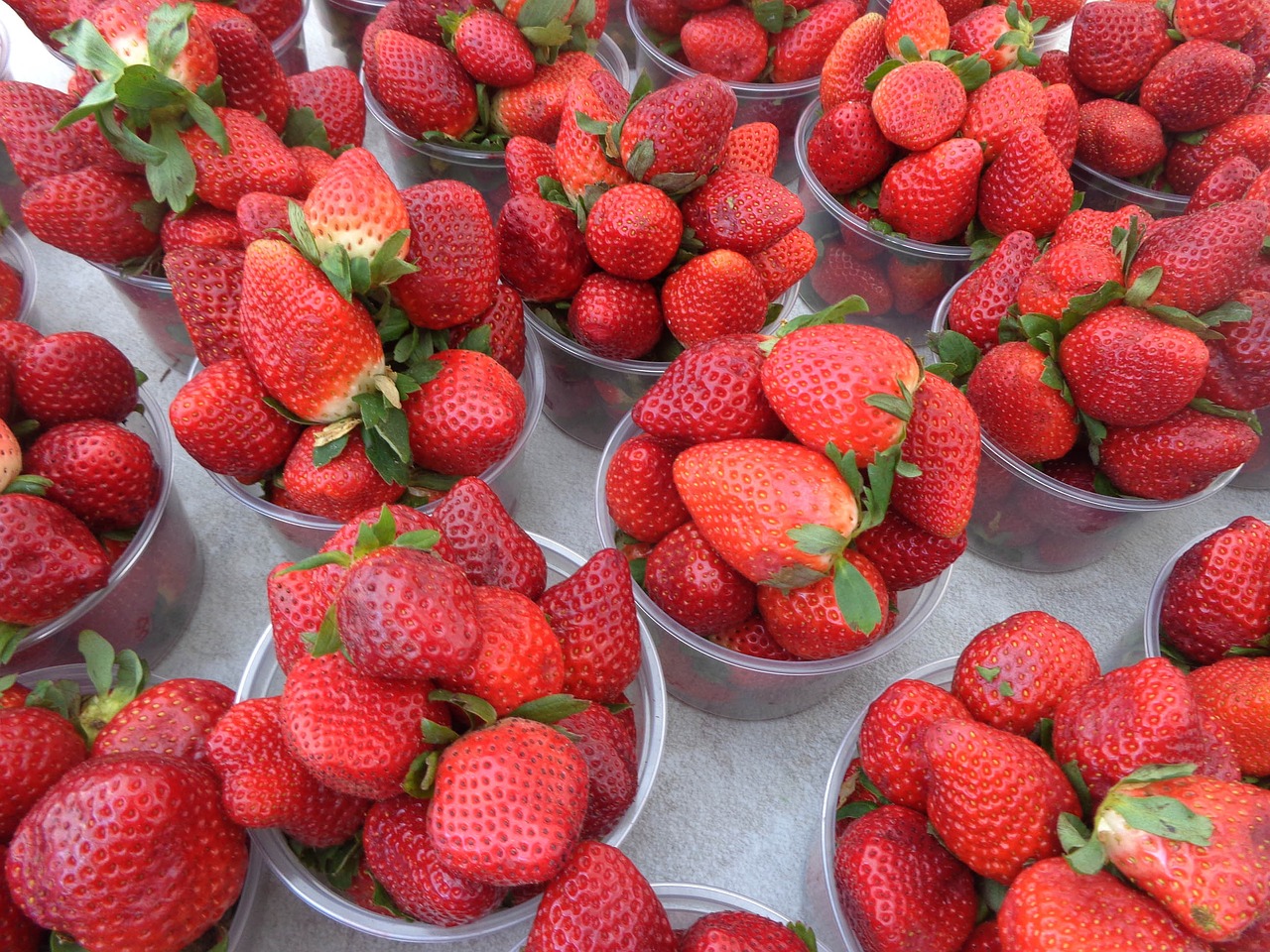 strawberry healthy berries free photo