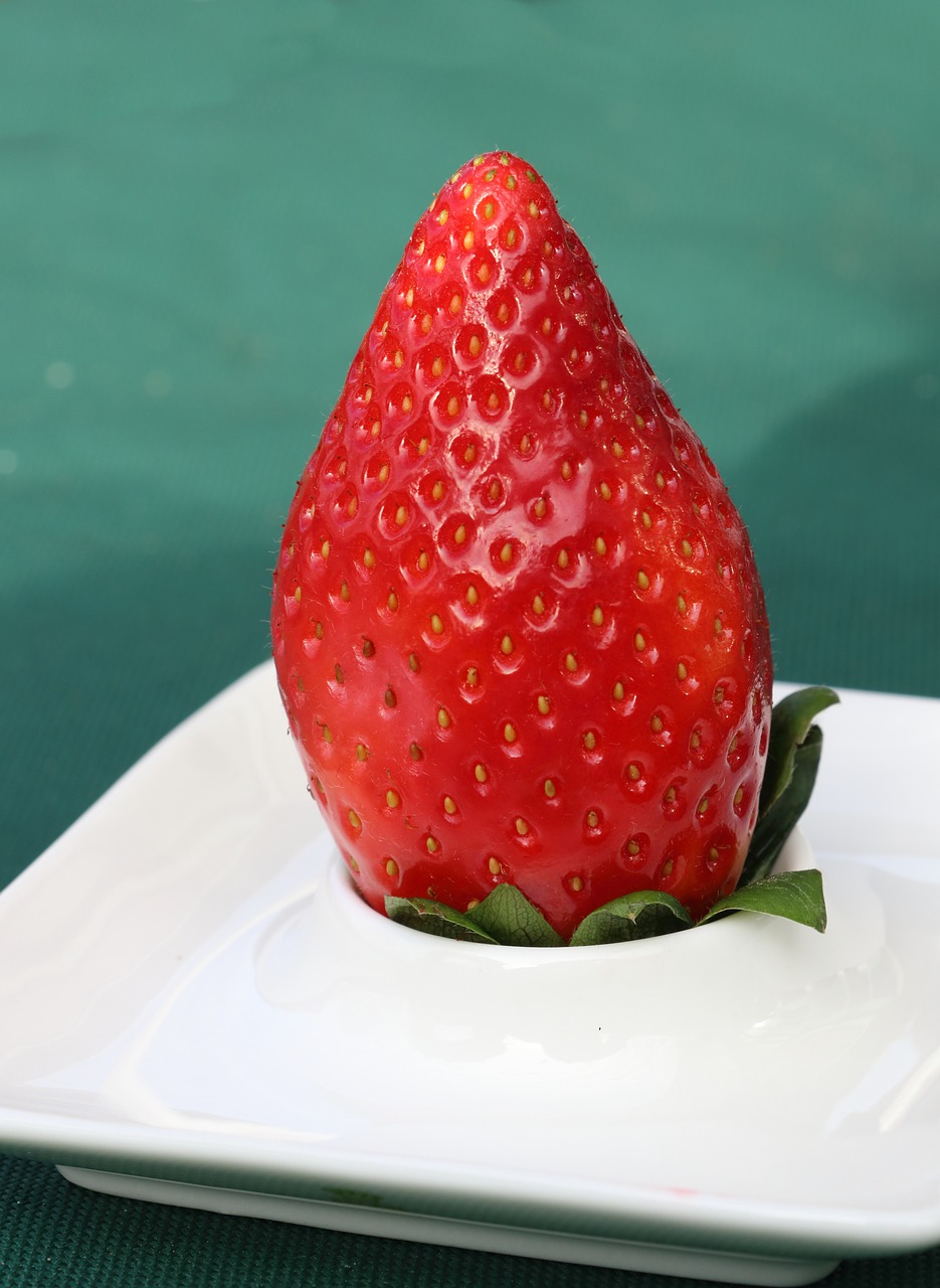 strawberry fruit red free photo