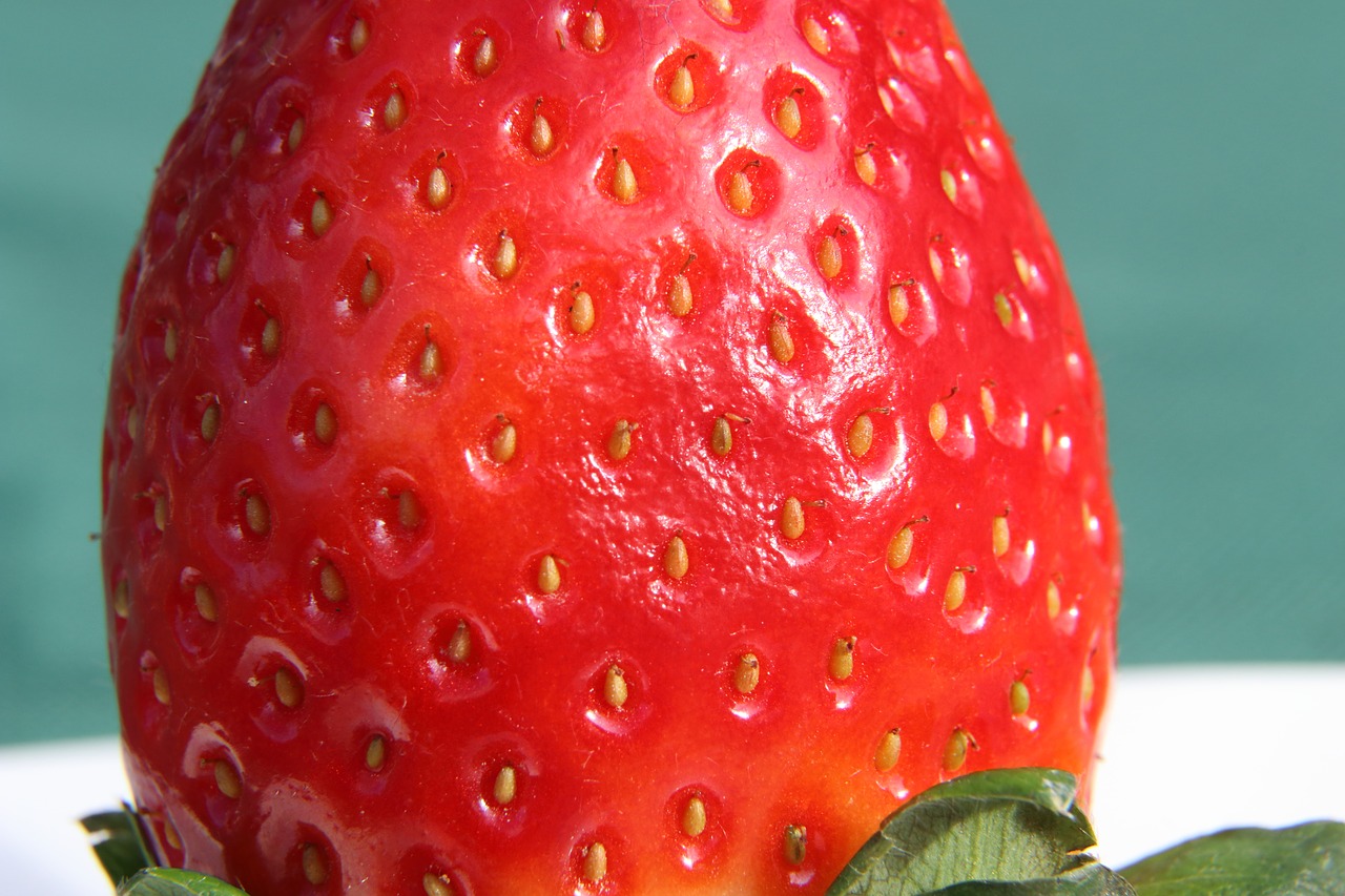 strawberry fruit red free photo