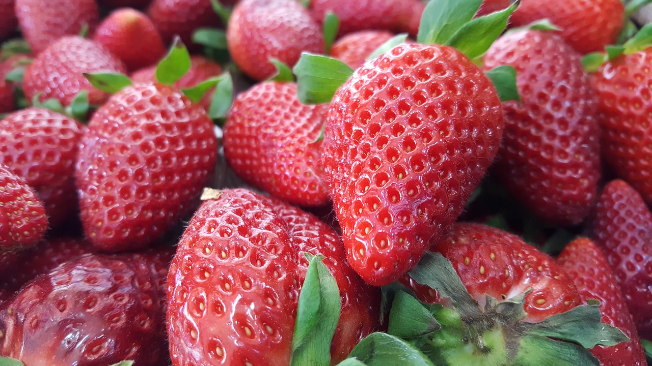 strawberry red strawberry fruit free photo