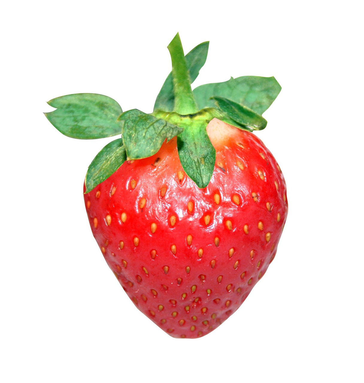 strawberry red fruit free photo