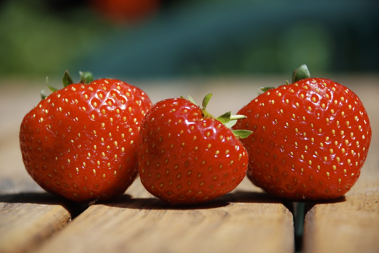 strawberry summer three free photo