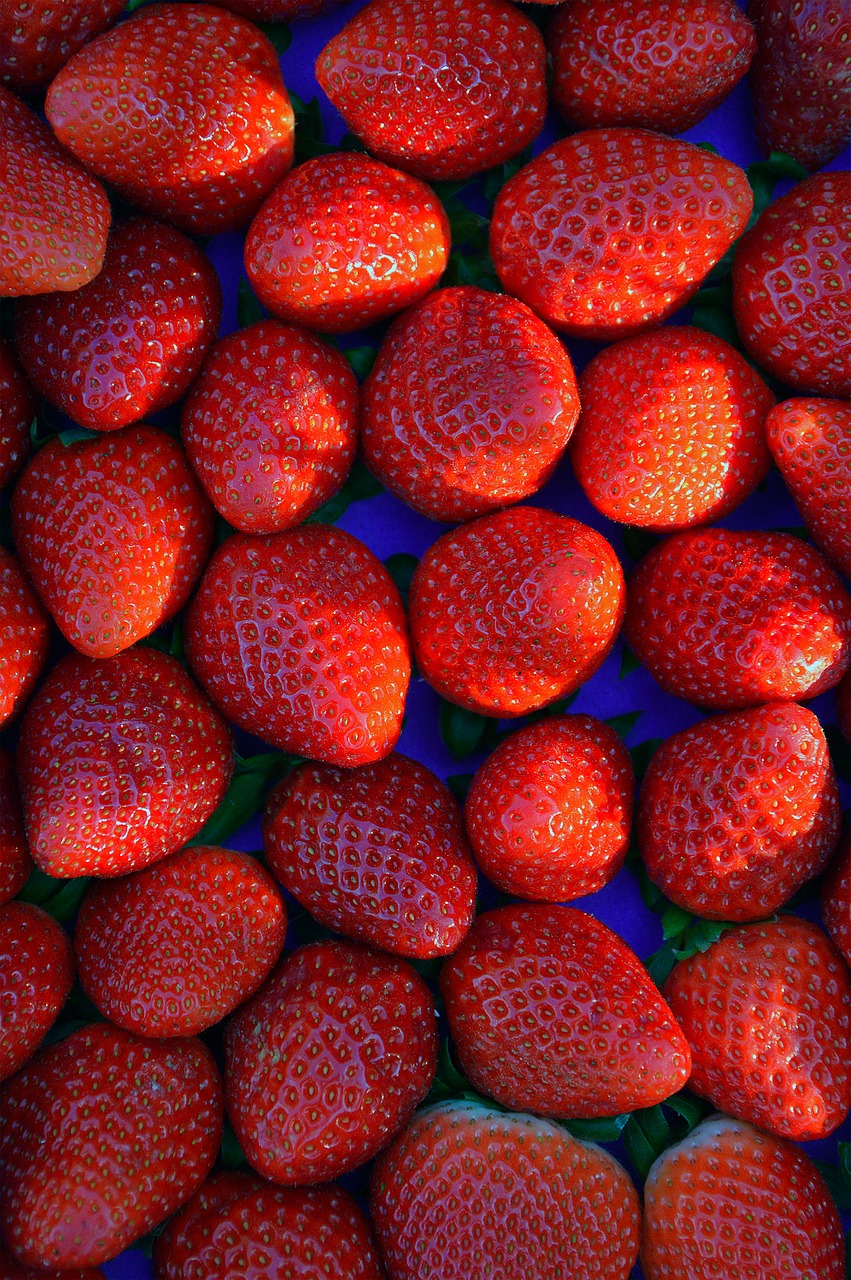 strawberry red fruit free photo