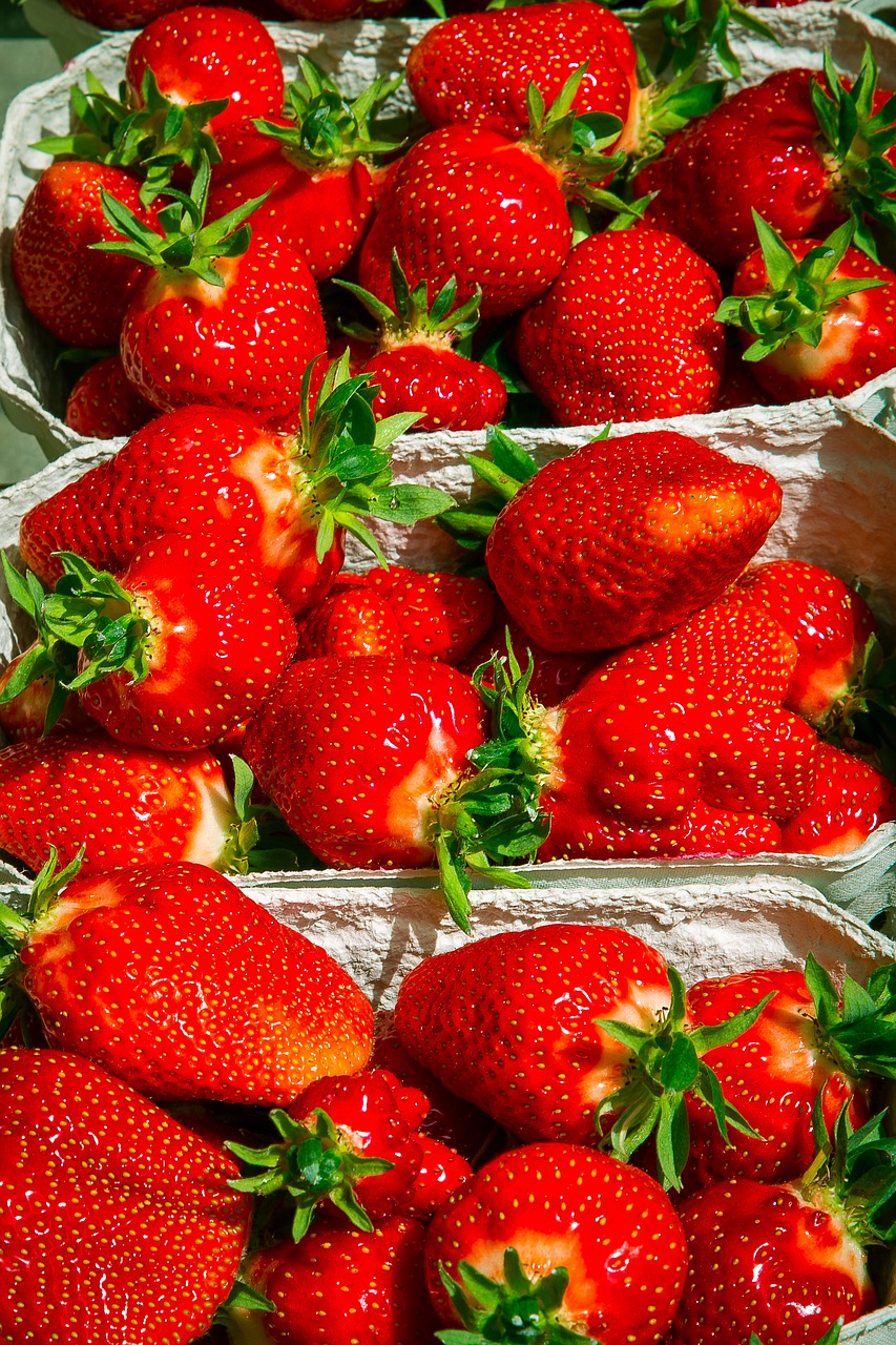 strawberry berry fruit free photo