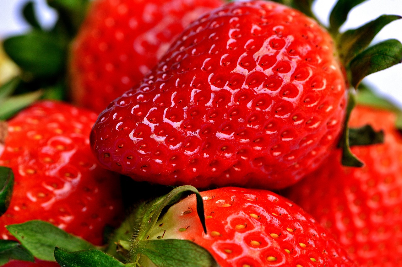 strawberry fruit berry free photo