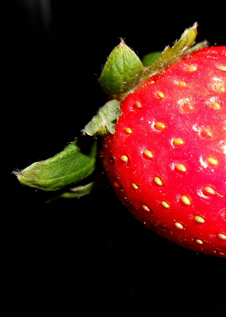 strawberry macro fruit free photo