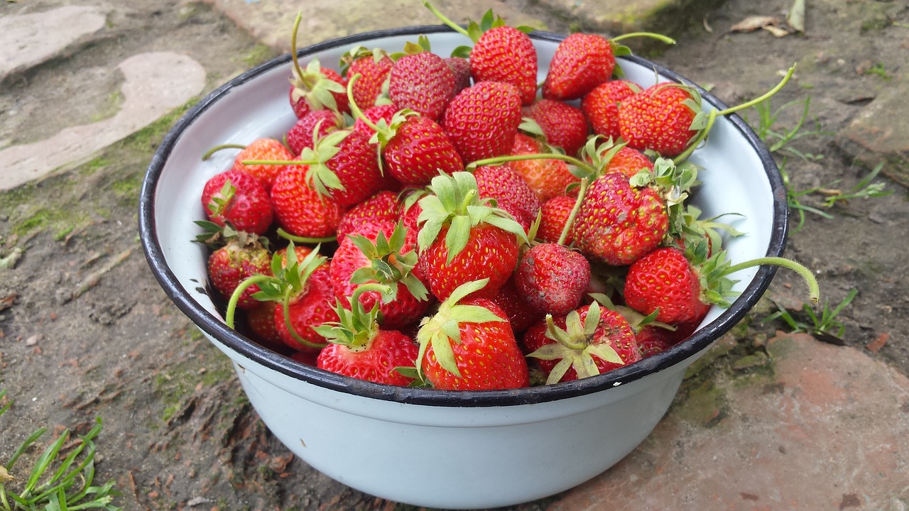 strawberry berry summer free photo
