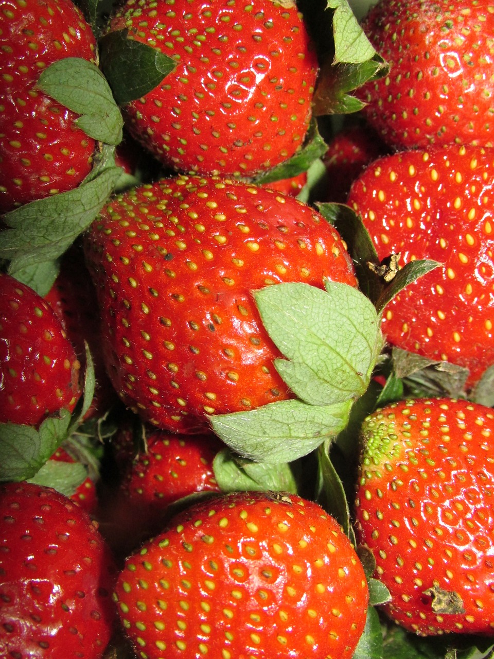 strawberry red fruit free photo