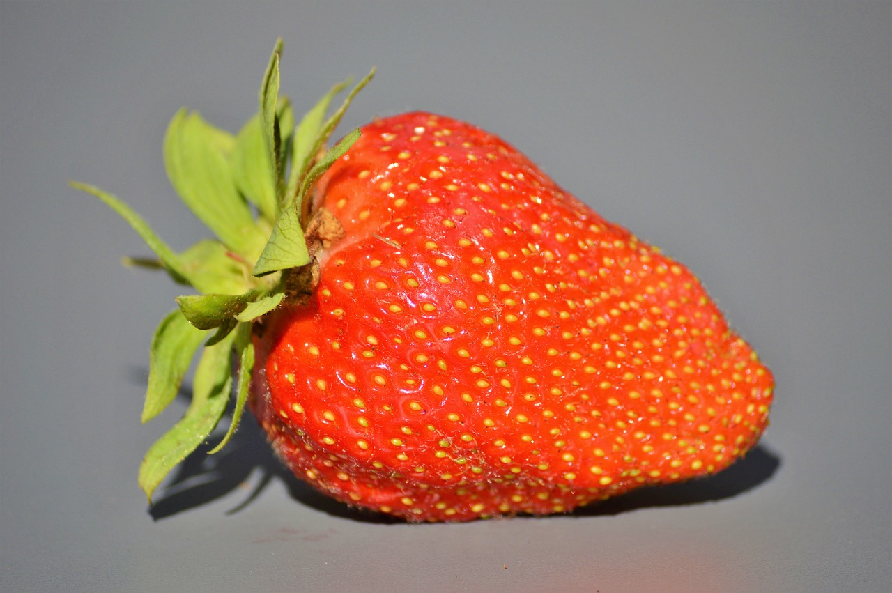 strawberry fruit food free photo