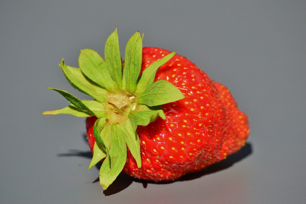 strawberry fruit food free photo