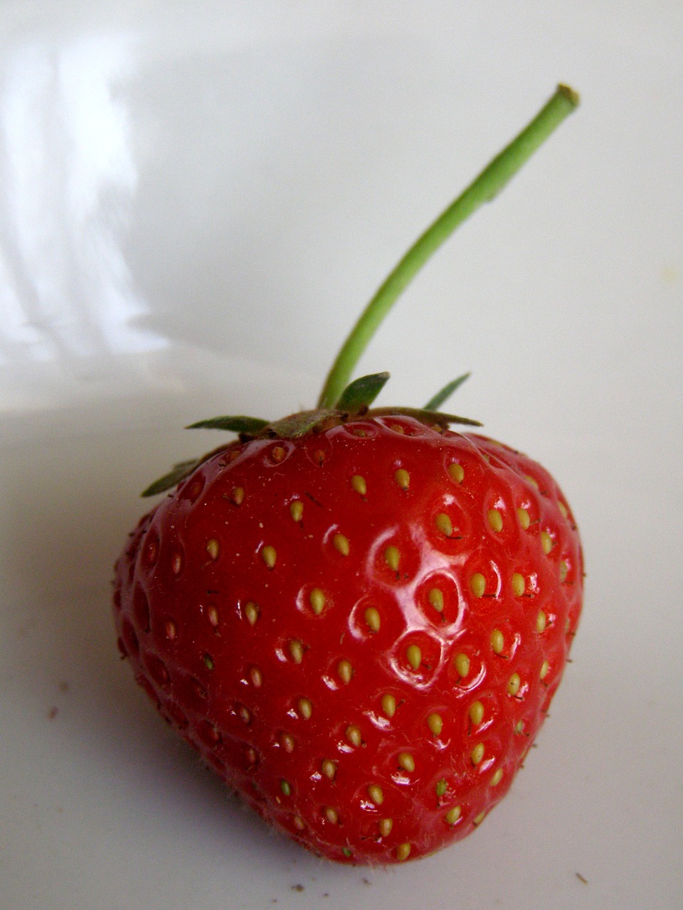 strawberry fruit summer free photo