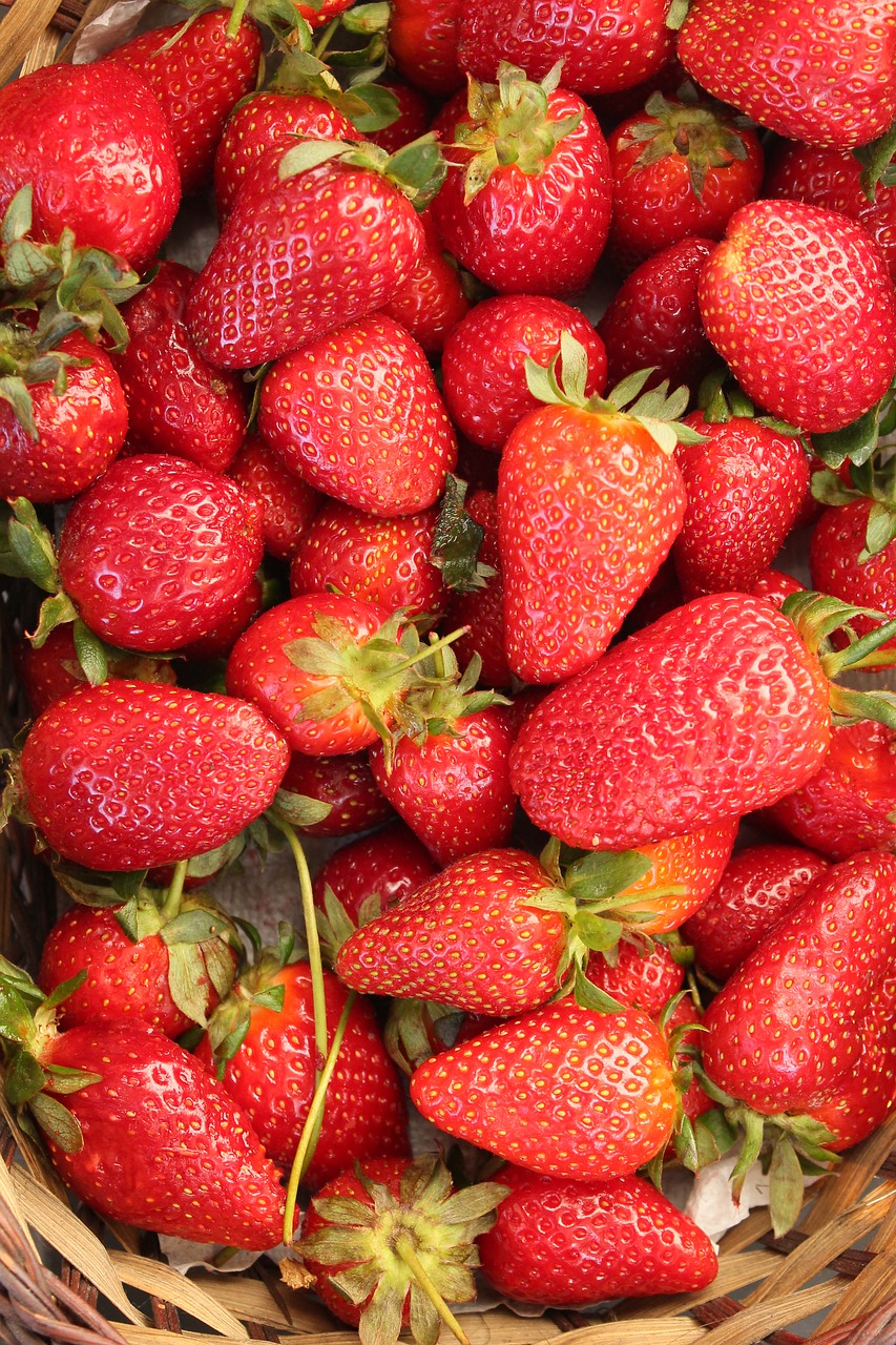 strawberry red fruit free photo