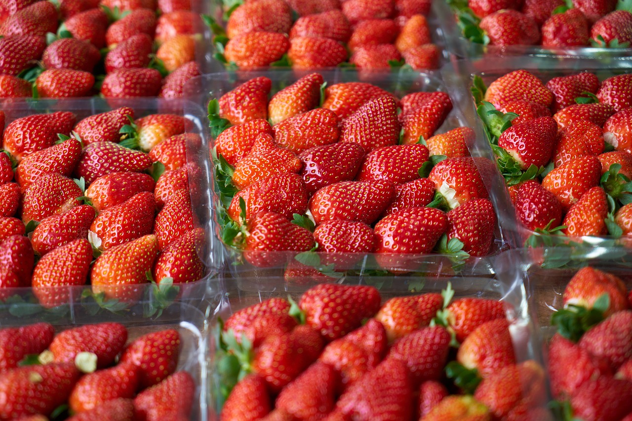 strawberry red fruit free photo