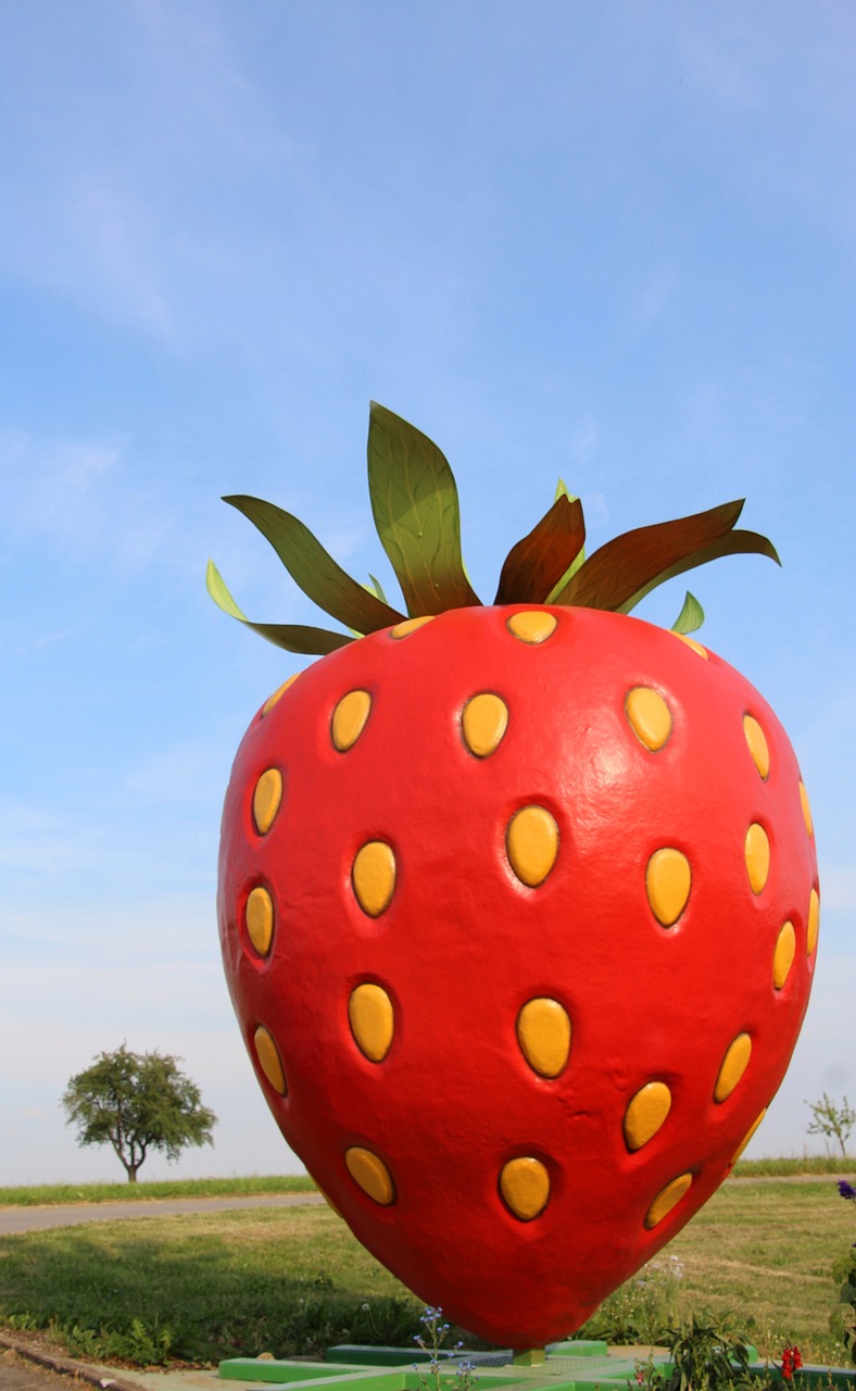 strawberry tree sky free photo