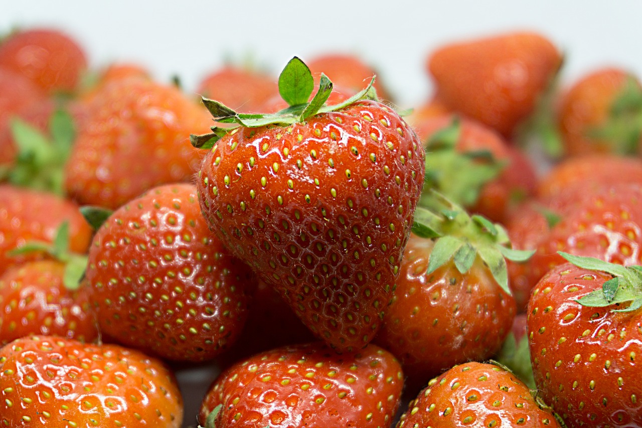 strawberry fruit red free photo