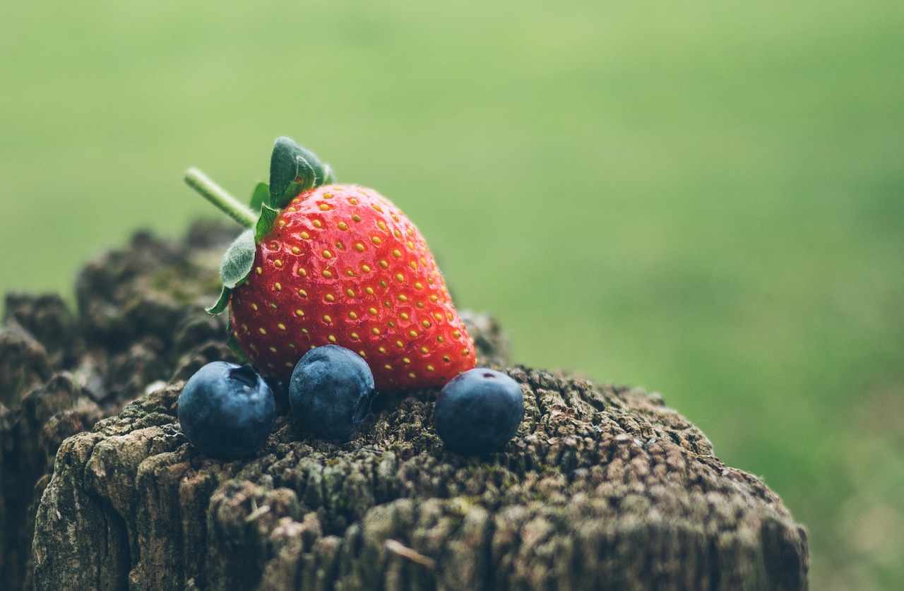 strawberry blueberry fruits free photo