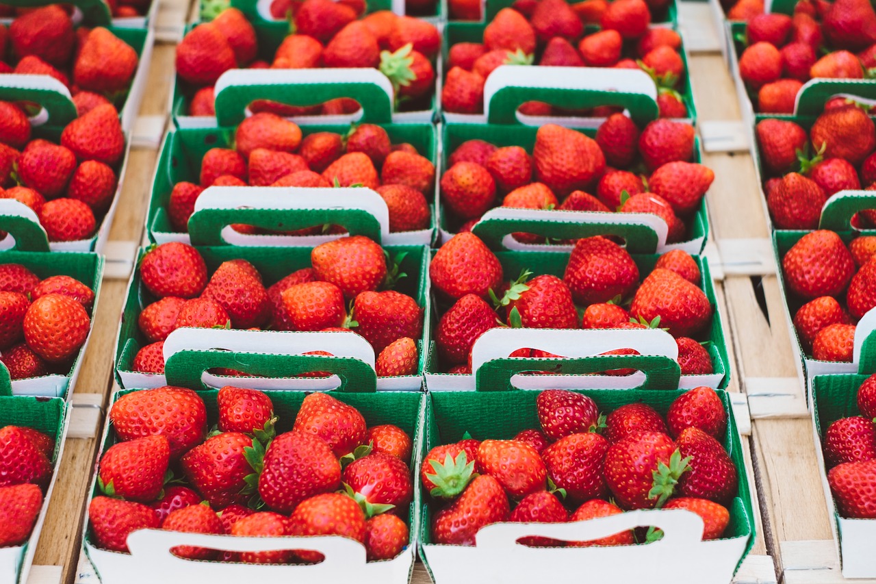strawberry harvest market free photo