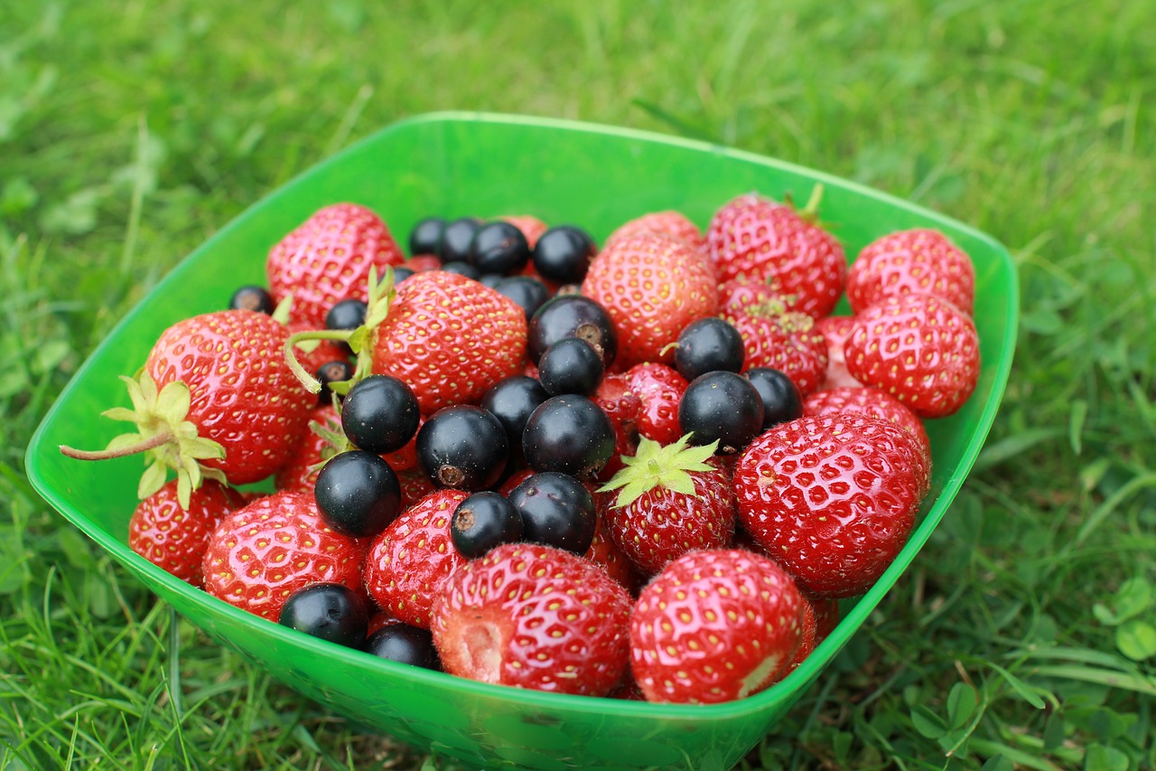strawberry currant dacha free photo