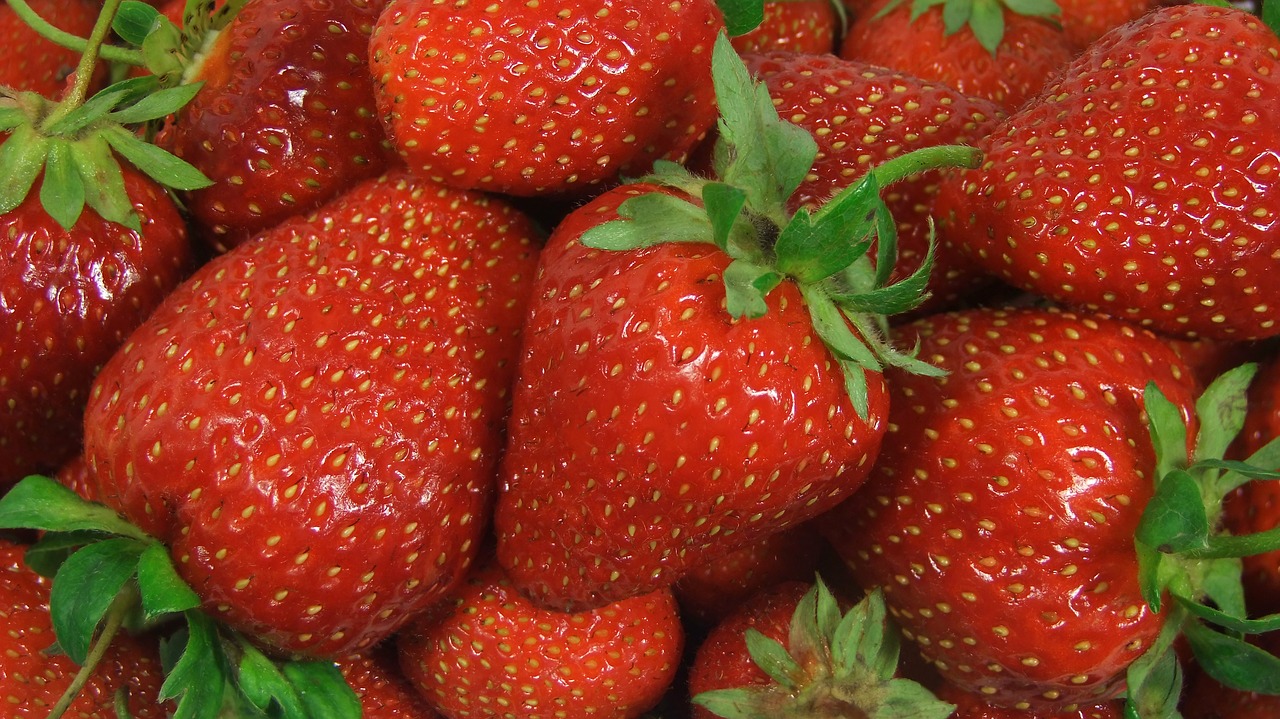 strawberry strawberries health free photo