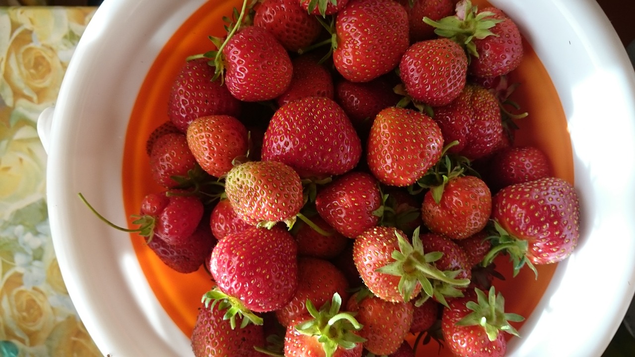 strawberry wild strawberry garden free photo