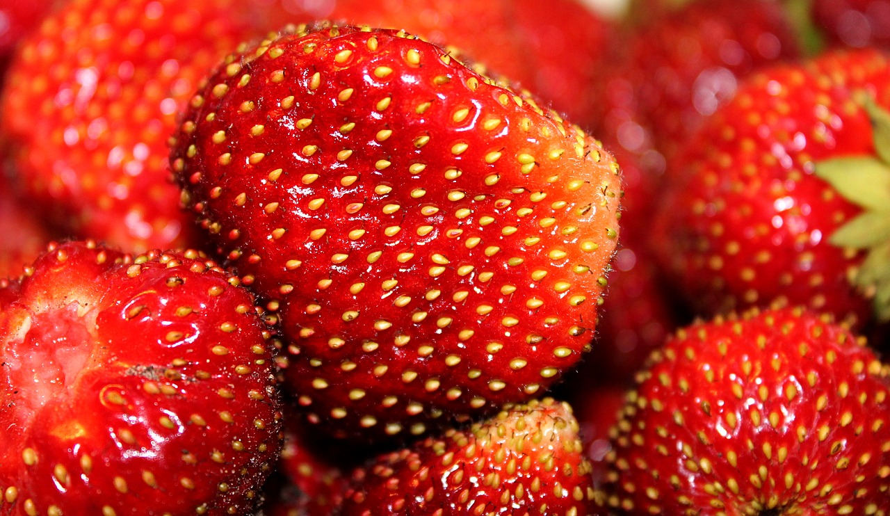 strawberry seeds berry free photo