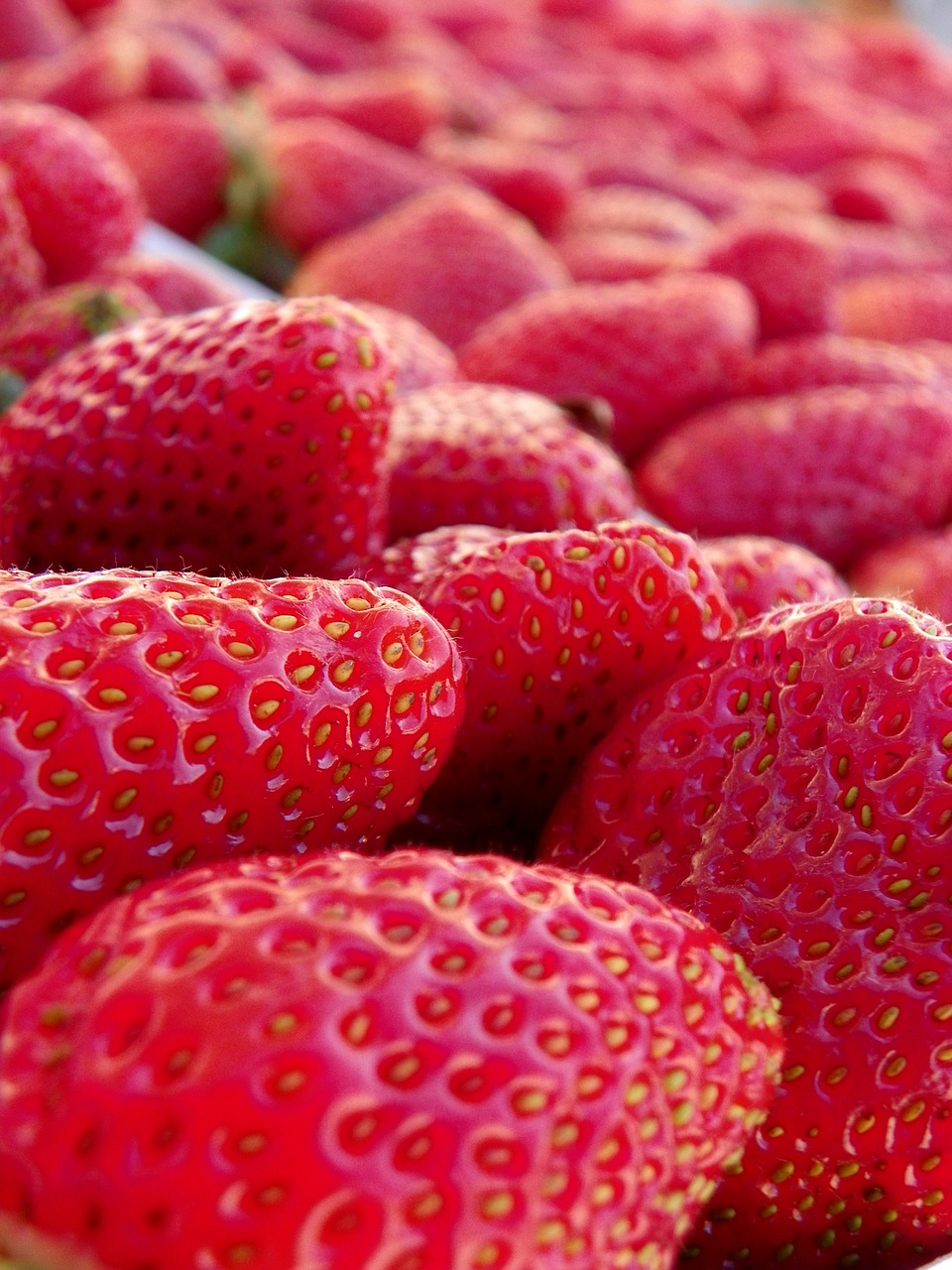 strawberry fruit red fruits free photo