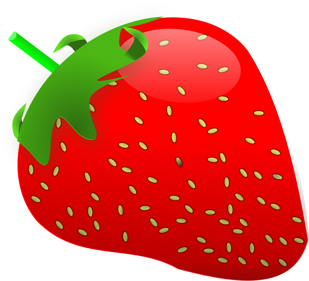 strawberry fruit berry free photo
