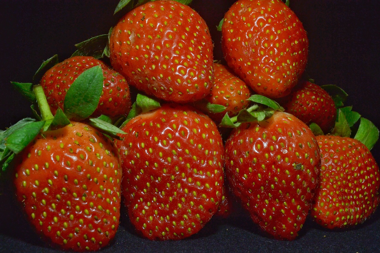 strawberry fruit red free photo