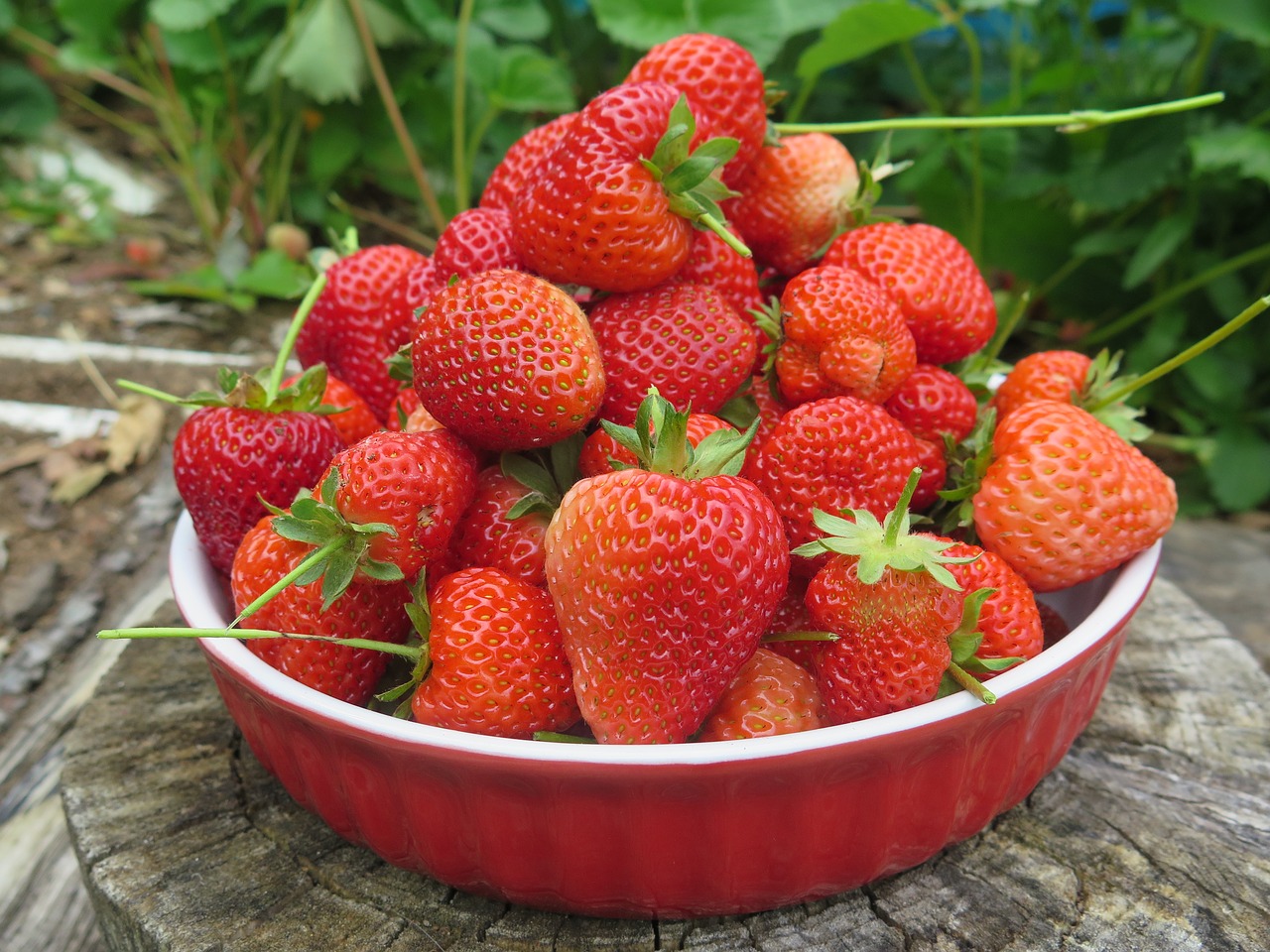 strawberry fruit food free photo