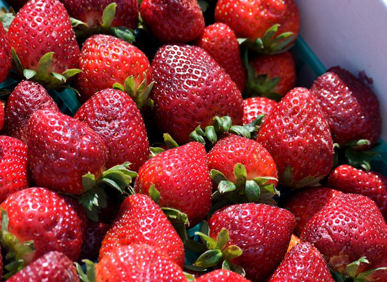 strawberry  fruit  berry free photo