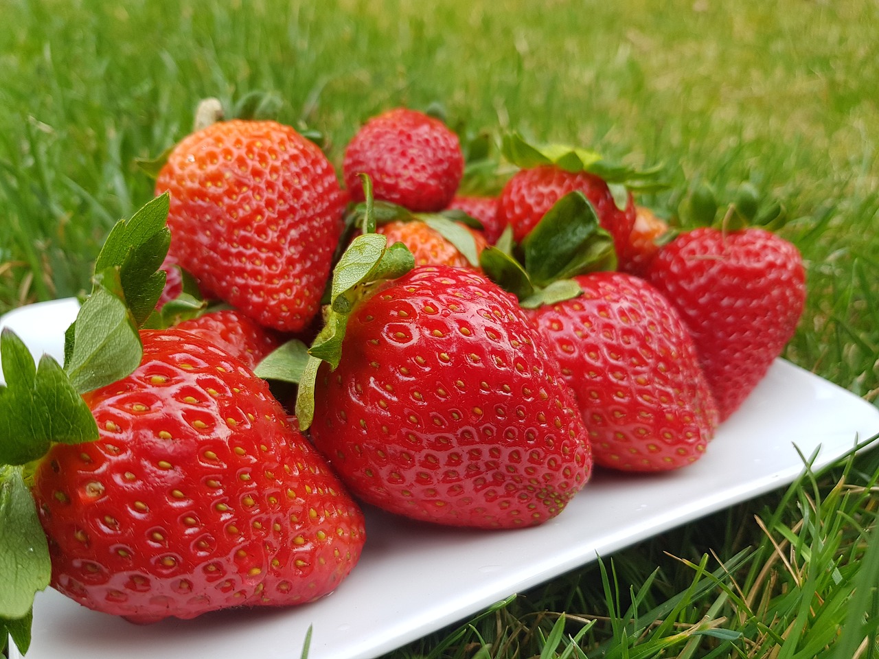 strawberry  fruit  food free photo