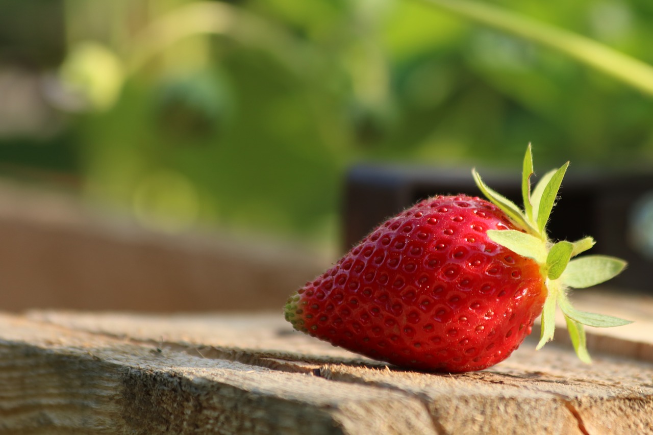 strawberry  mature  fruit free photo