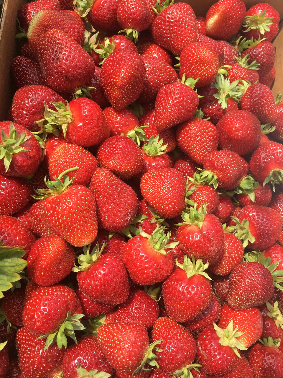 strawberry  fruit  harvest free photo