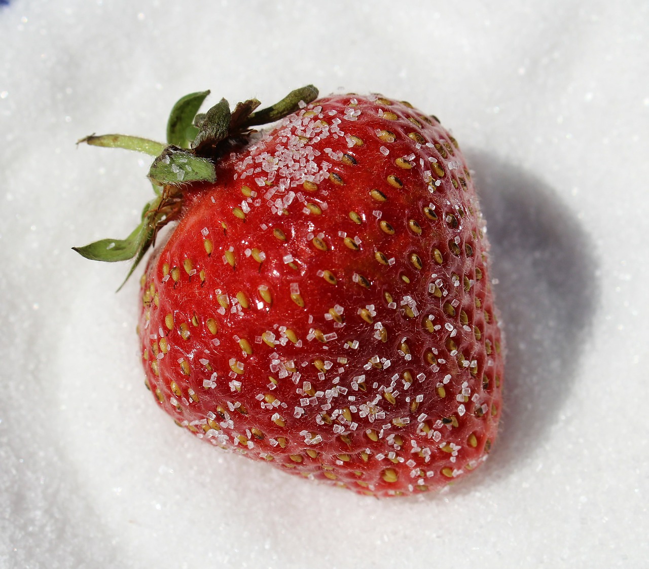 strawberry sugared sugar free photo